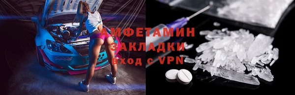 индика Богданович